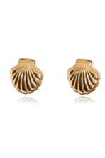 Brinco De Concha Banhado Em Ouro 18k [F027] - Image 3